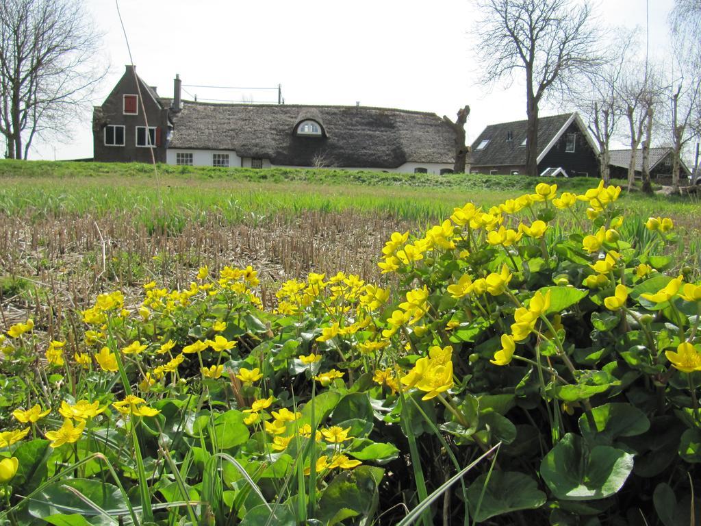 Boerderij Honswijck Guest House Weesp Eksteriør bilde
