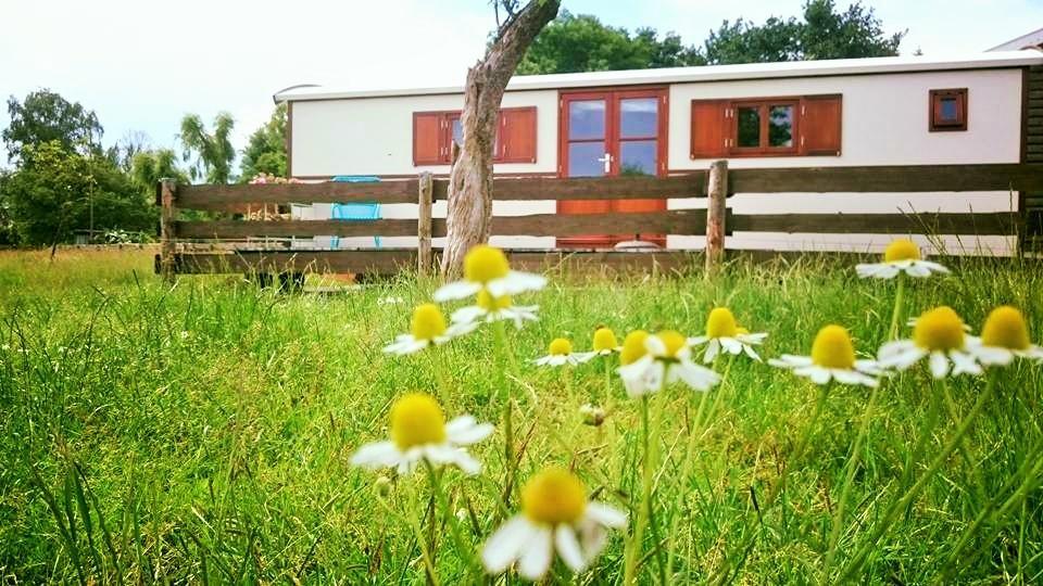 Boerderij Honswijck Guest House Weesp Eksteriør bilde