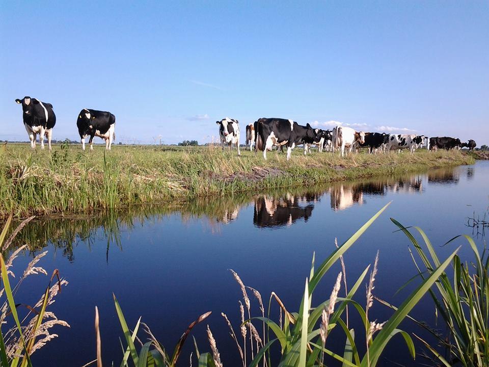 Boerderij Honswijck Guest House Weesp Eksteriør bilde